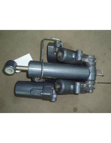 Power Trimp Yamaha F250aetx