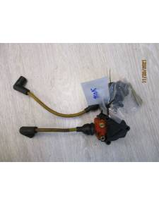 Coil fuori bordo mercurio 40cv anno80 asse lungo