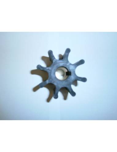impeller jabsco