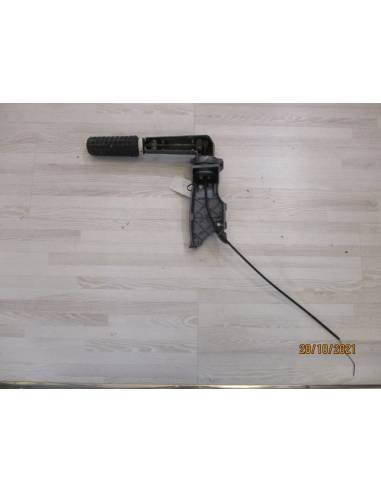 Comando popero foresta 9,9 CV 4t 181 a