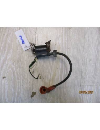 parsun f2,6bm outboard coil