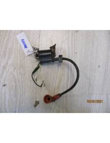 parsun f2,6bm outboard coil
