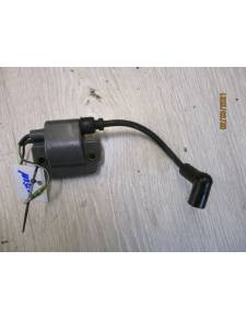 Yamaha Außenbordspule 4ac 4cv 2t