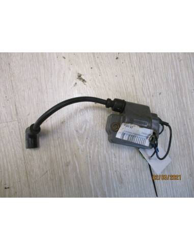 Yamaha Außenbordspule 4ac 4cv 2t