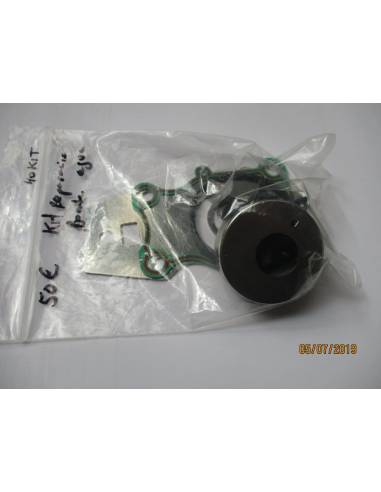 Yamaha / GOII 40cv 2t