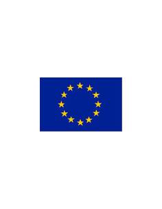 European flag 20 x 30cm