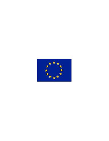 European flag 20 by 30 cm