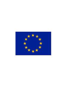 Drapeau européen 20 x 30 cm