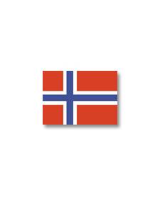 Norwegische Flagge 20 x 30 cm
