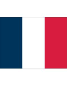 Bandera francesa 20x30cm