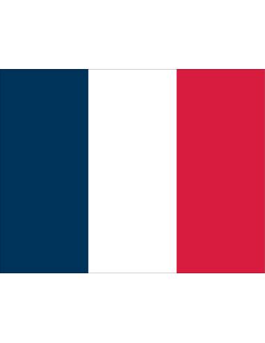 Bandera francesa 20x30cm