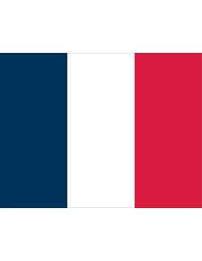 Bandera francesa 20x30cm