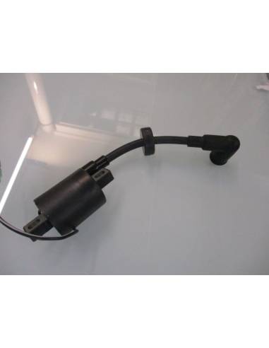 Ignition coil compatible yamaha/ goii 4/5/6 cv...