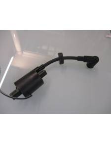 Ignition coil compatible yamaha/ goii 4/5/6 cv 2t 6e0-85570-00