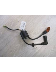 Coil exploded view yamaha 15cv 4t