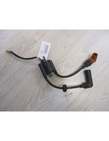 Bobina di taglio Yamaha 15cv 4t