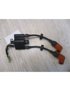 Bobina di taglio Yamaha f8cnh 4 tempi