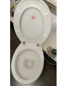 Reinstrom toilet w/ pump m-24Rgr