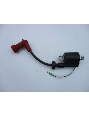 Zündschleife YAMAHA / GOII 4/5/6 PS 2 t