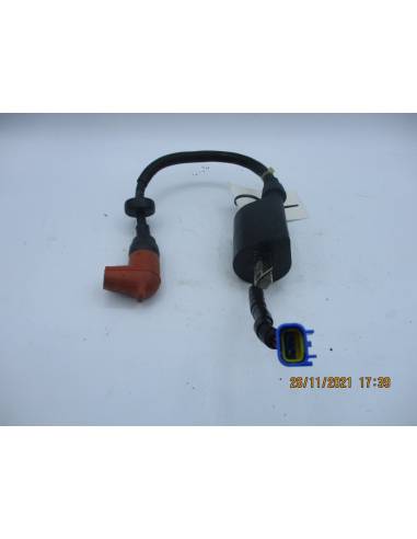 Exploded coil Yamaha 300cv 2 times F6t507