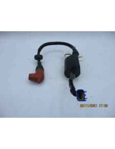 Exploded coil Yamaha 300cv 2 times F6t507