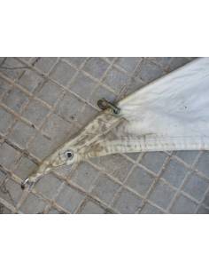 Sail Foque grid 11.26mts pujamen 6mts baluma 10.24mts