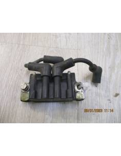 Johnson BJ4BREIA 4CV 2-stroke exploded coil