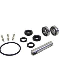 Kit de reparación Orbitrade 15698 para bombas de... 2