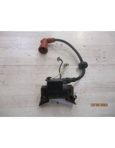 Bobina Parsun F2.6BM 4 tempi