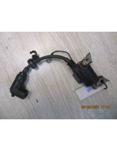Bobine éclatée Yamaha 2,5 cv 4 temps