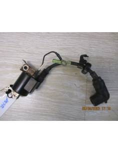 Bobine éclatée Yamaha 2,5 cv 4 temps 2