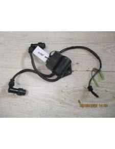 CDI schneidet Suzuki DT9,9 2 Mal