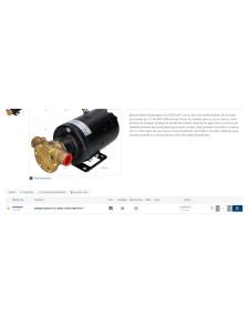 JOHSON PUMPS 12V 2400L/H SPX F5B19-3/4 Ölpumpe