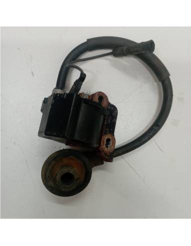 Bobina despiece Honda BF2b