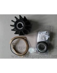 Cummnins 3908220 Kit de bomba de agua de mar outlet