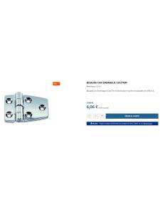 Bisagra Inox 53x37x2 mm
