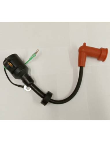 Go - yamaha coil ignicion 9.9/15 cv 2 t