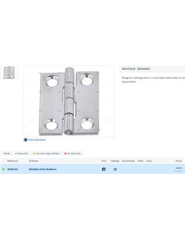 Bisagra Inox 38x50 mm