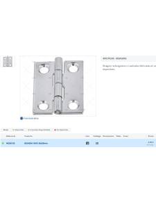 Bisagra Inox 38x50 mm