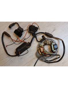 Complete electronica outboard motor Evinrude E8BCIC 7.5CV 2T