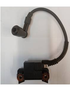 Spirale di taglio motore fuoribordo Evinrude 3,5 CV 4 tempi