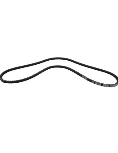 Cinghia di trasmissione Orbitrade 18207 per...