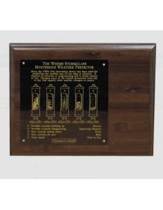 Weems Plath expositor de madera de 8 x 10 con placa...