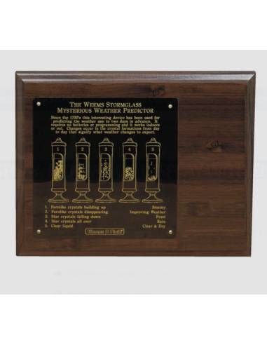 Weems Plath expositor de madera de 8 x 10 con...
