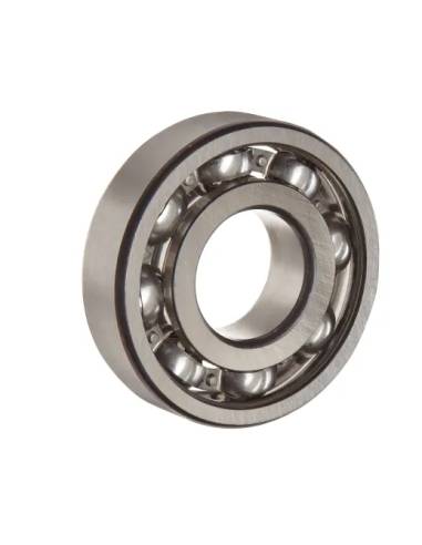 SKF 6006Rodamientos de bolas