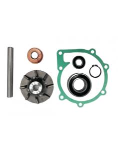 Volvo 876794 Kit di riparazione Pompa