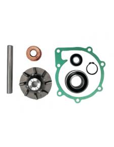 Volvo 876794 Kit Reparación Bomba 