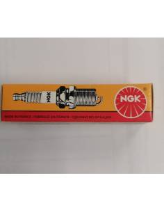 Bujia NGK