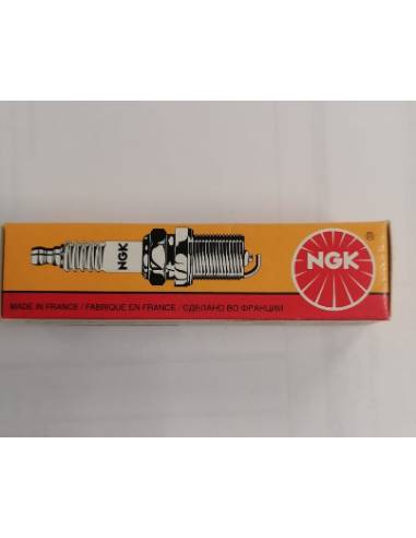 Cuccia NGK