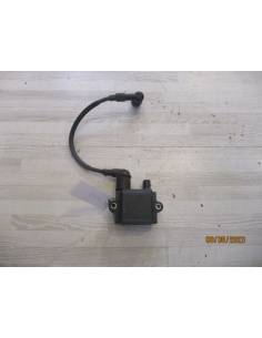 Bobina despiece Suzuki DF2,5 4 tiempos